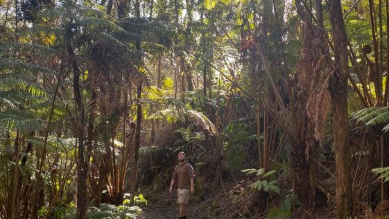 A Guide to Accommodation in Hawai‘i Volcanoes National Park