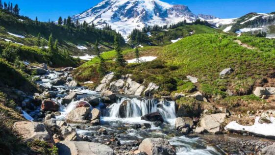 15 Amazing Things to Do in Mount Rainier National Park