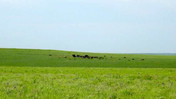 On The Road Through Flyover Country To Find History