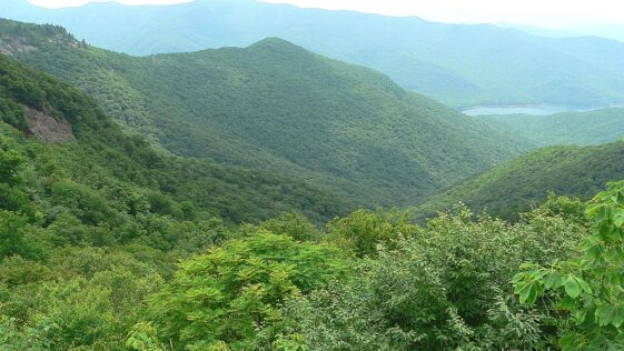 Blue_Ridge_Parkway_National_Park_b.jpg