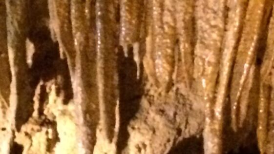 Mammoth Cave National Park: Year-Round Air Conditioning