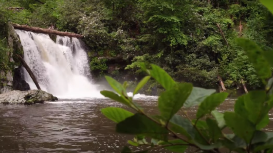 The Great Smoky Mountains National Park